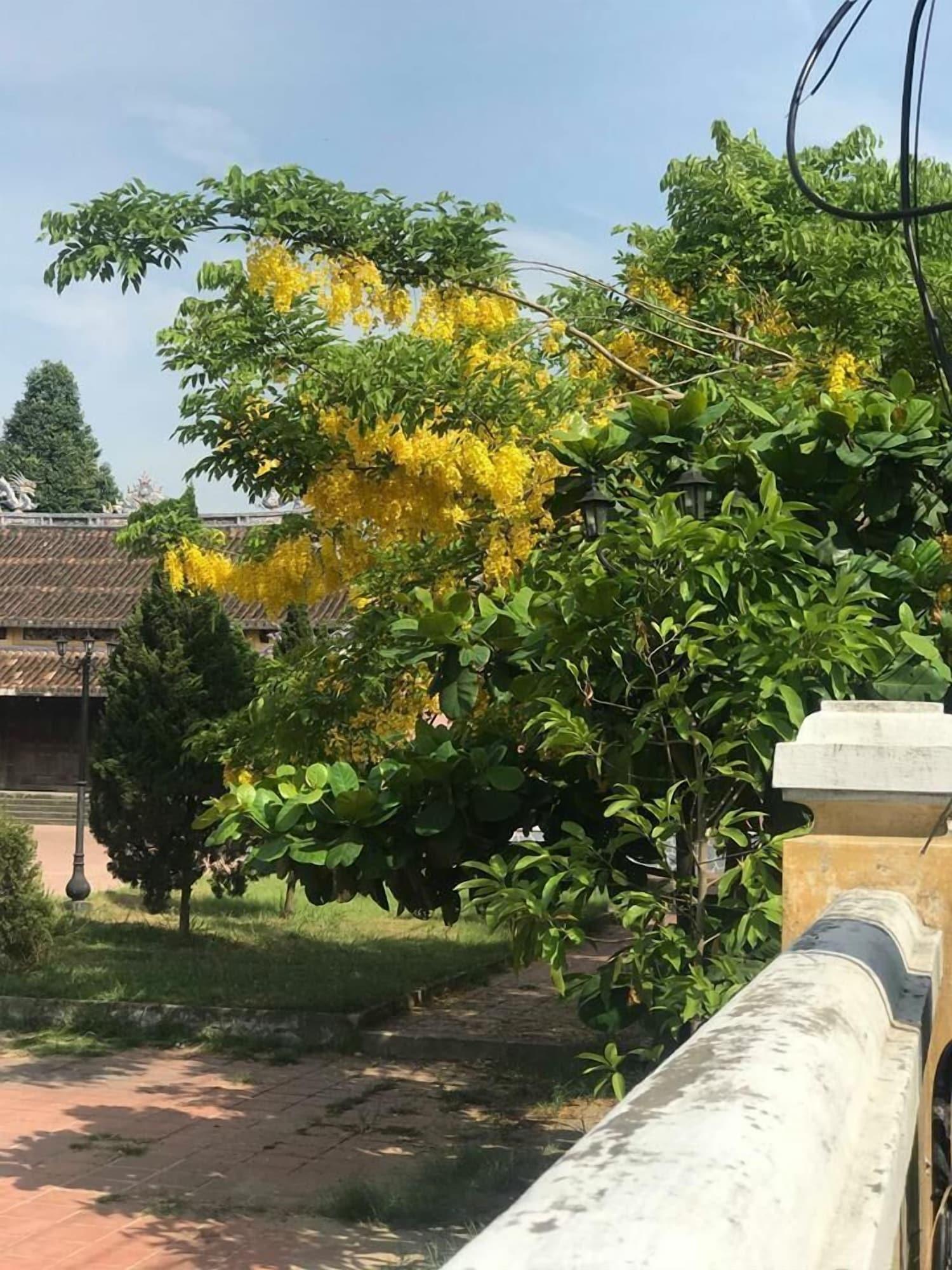 Champa Hoi An Villas Dış mekan fotoğraf